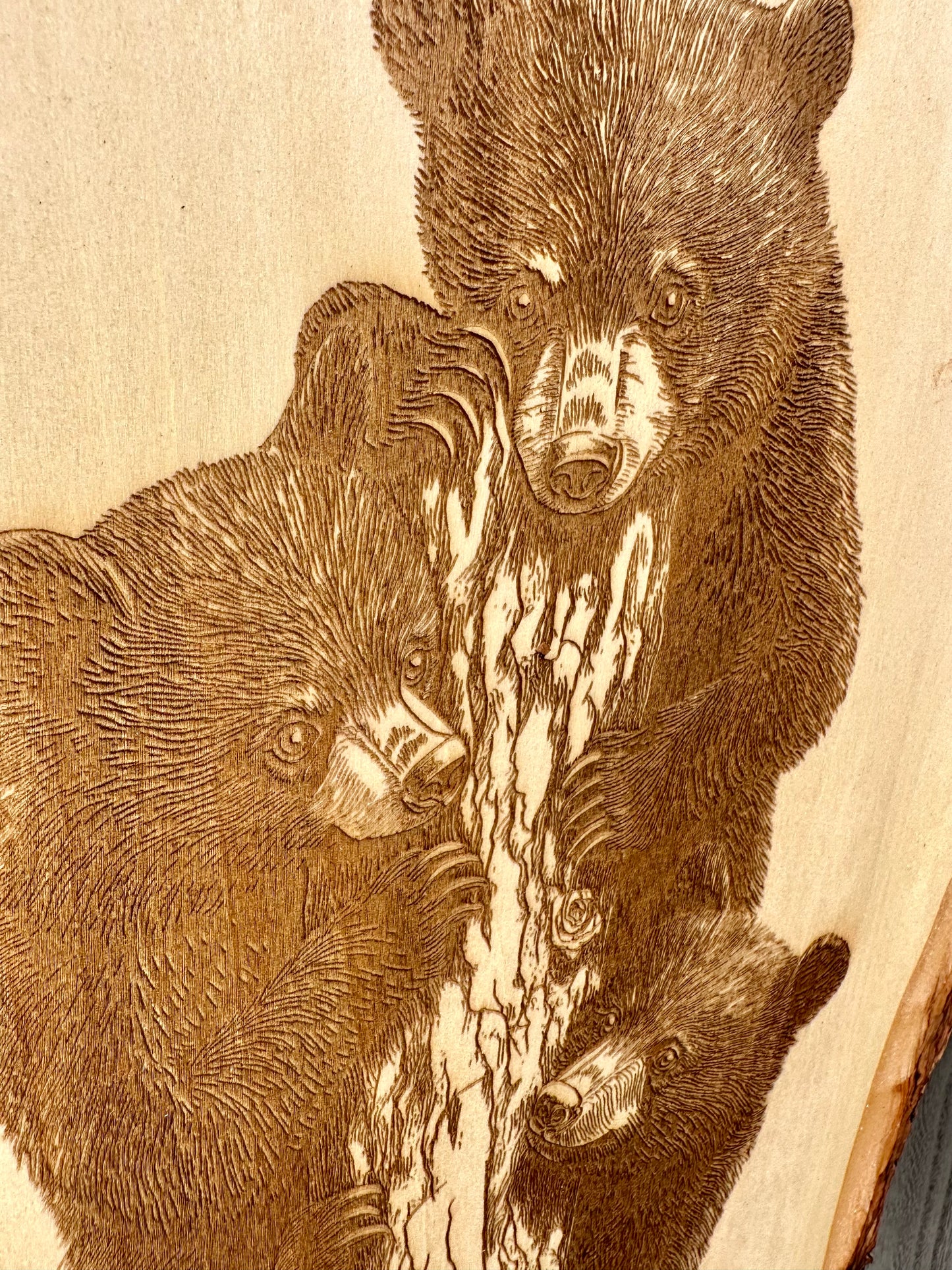 Three Bears in Tree Live Edge Rectangular Plaque
