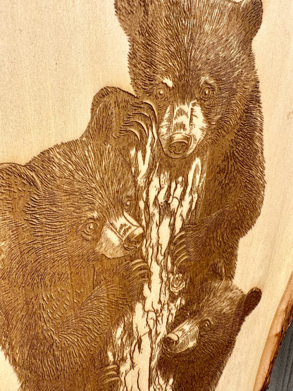 Three Bears in Tree Live Edge Rectangular Plaque
