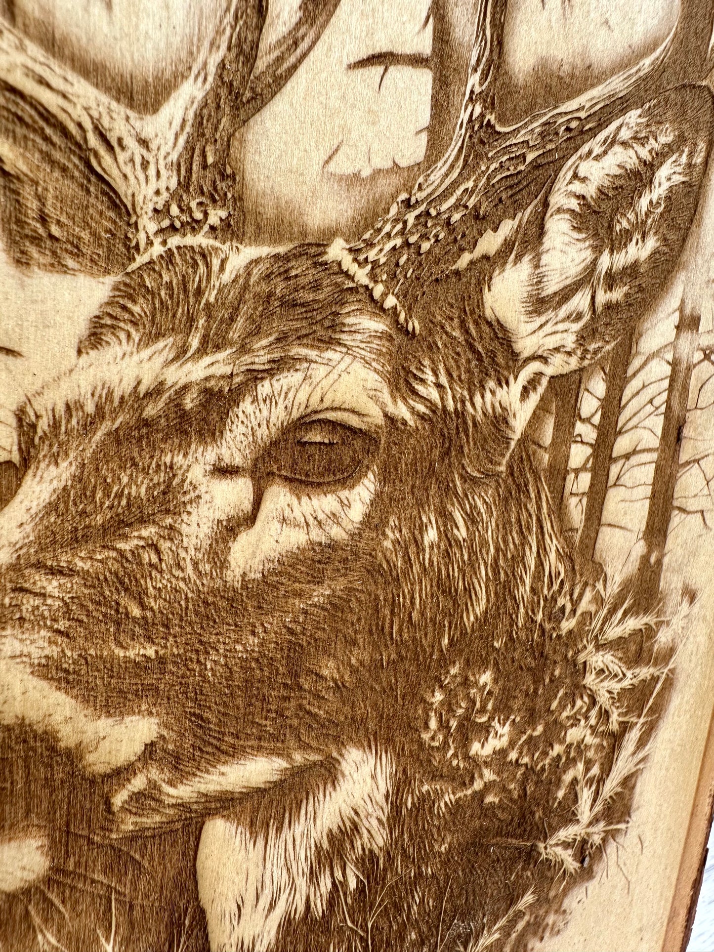 Deer Head Up Close Live Edge Rectangular Plaque