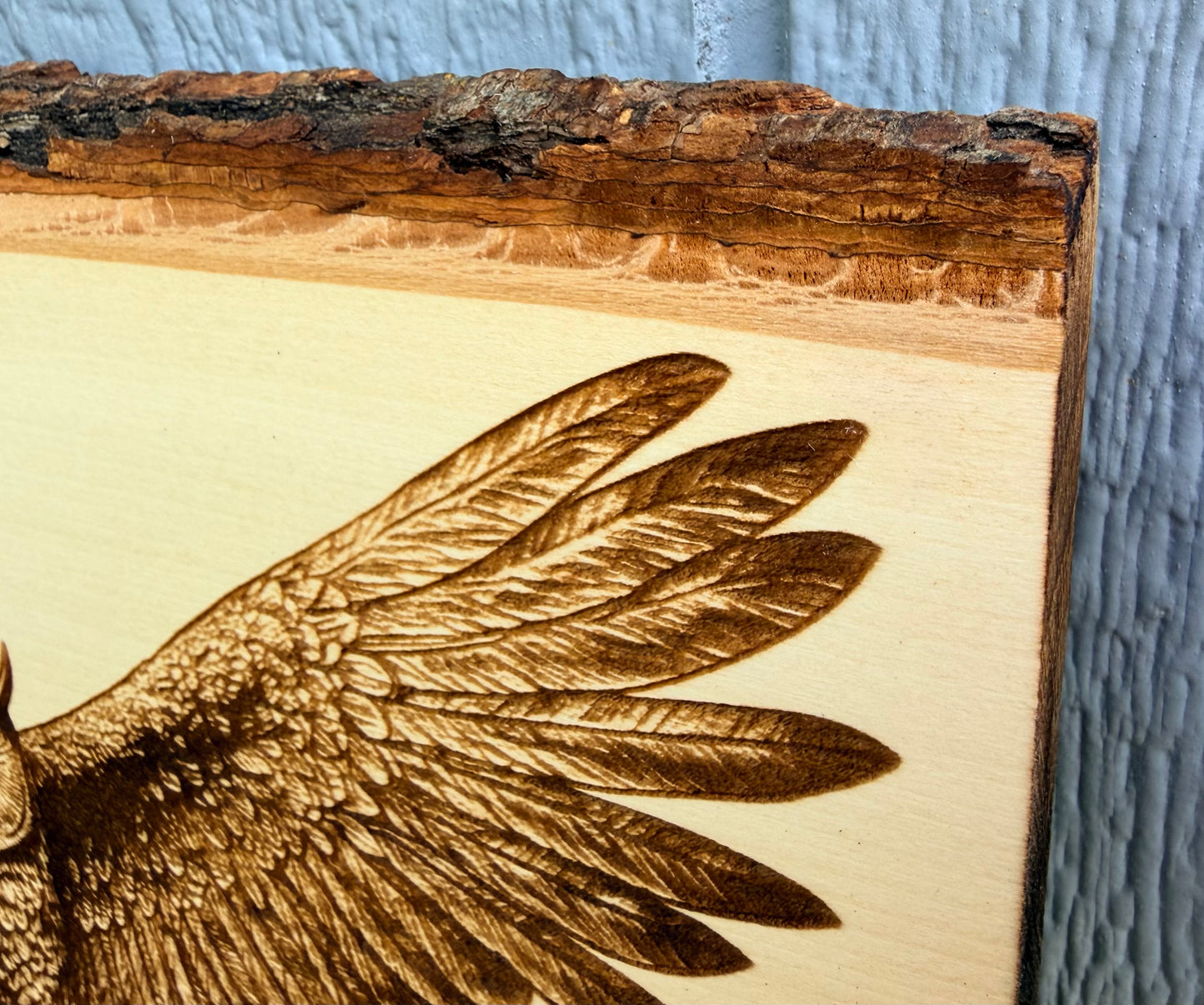 Plaque Live Edge Rectangular - Owl with Wings Spread