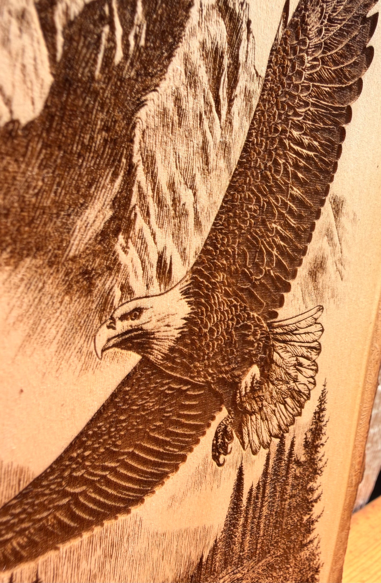 Plaque Live Edge Rectangular - Eagle Soaring in the Mountains