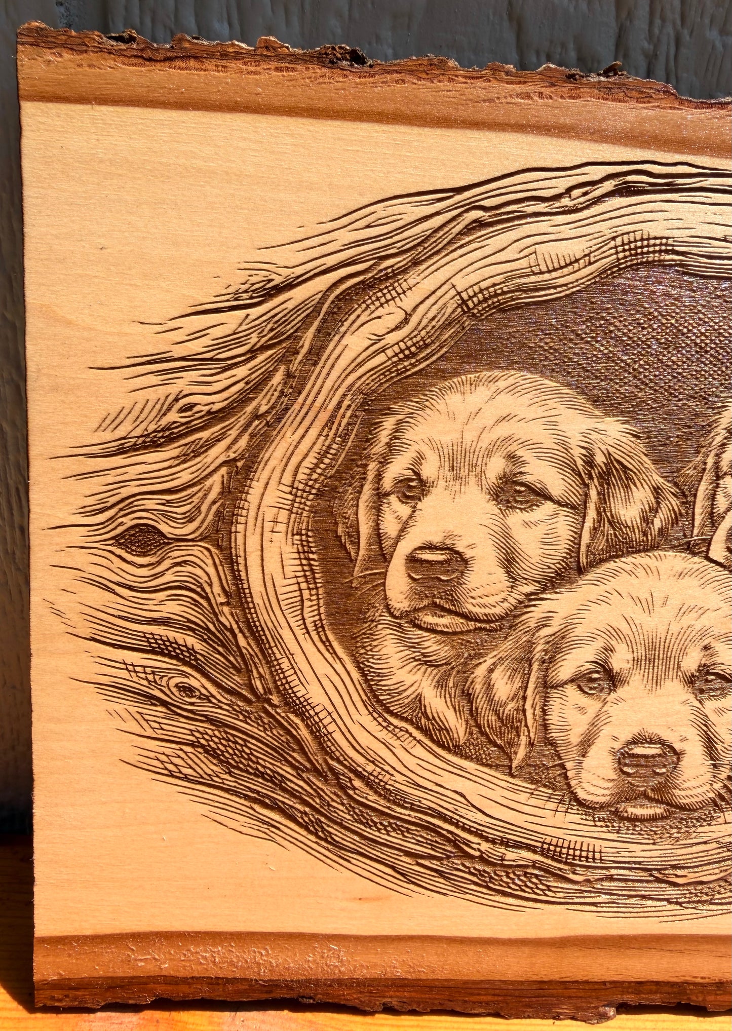 Plaque Live Edge Rectangular - Three Retriever Puppies