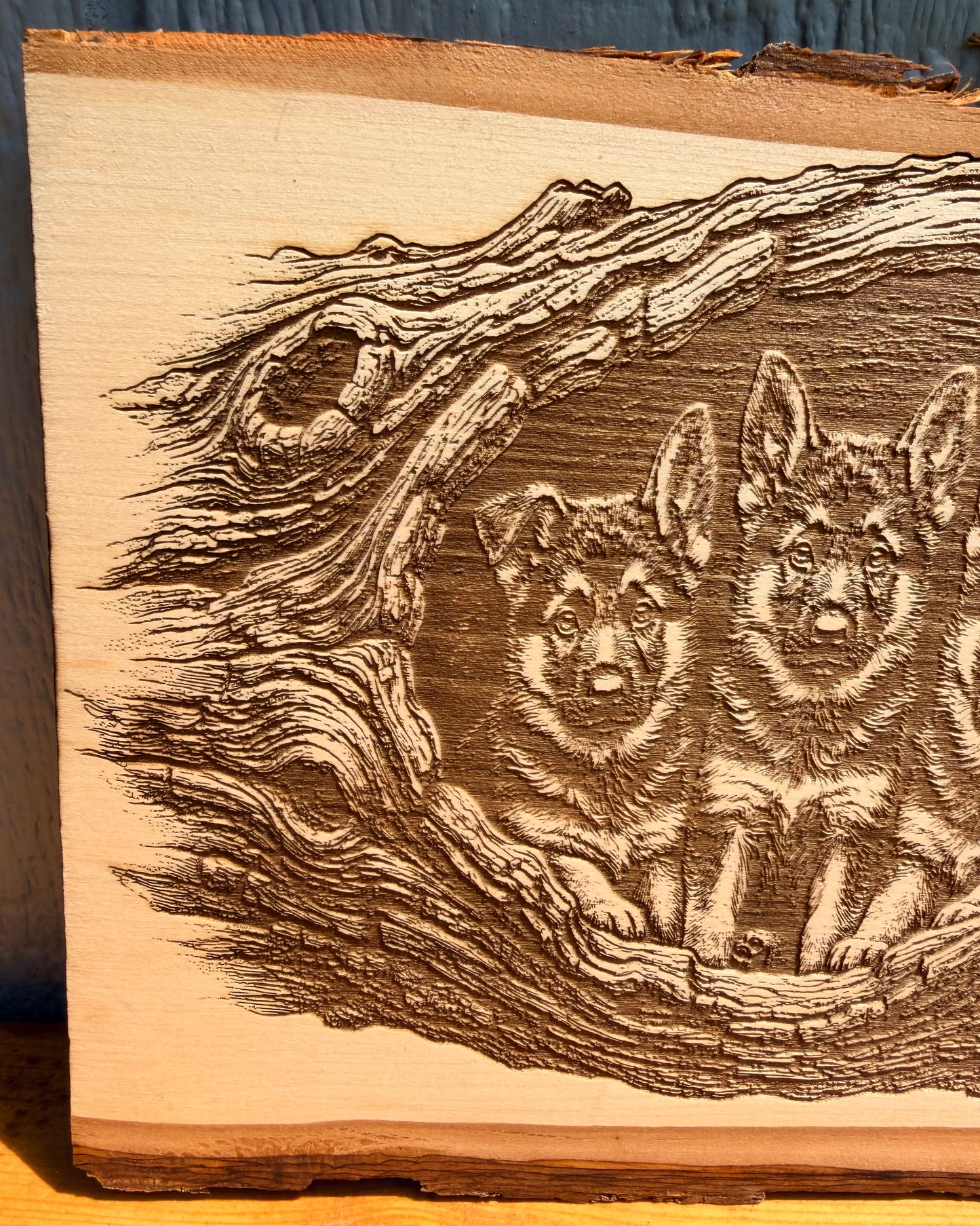 Plaque Live Edge Rectangular - Three Shepherd Puppies