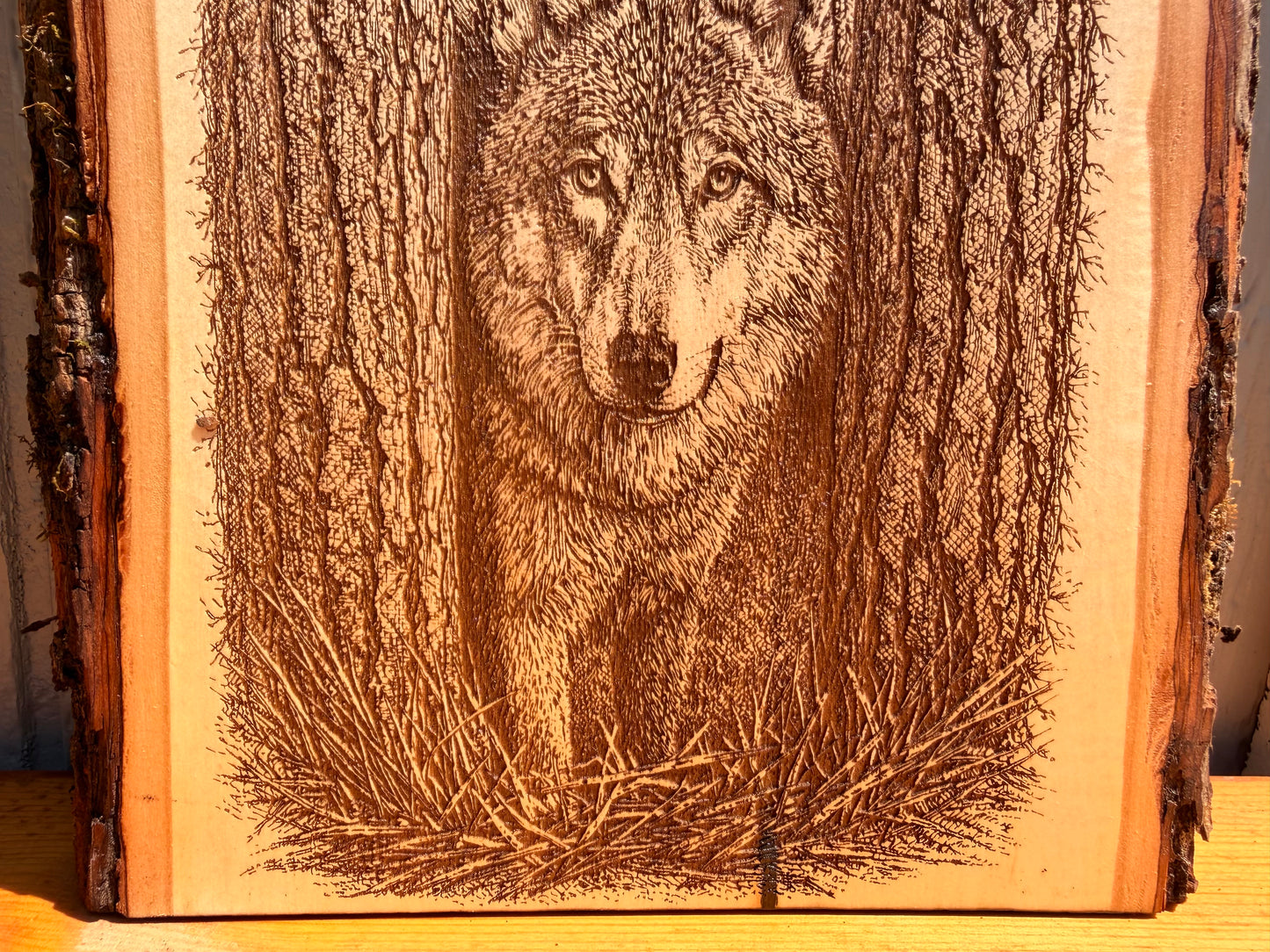 Plaque Live Edge Rectangular - Wolf in the Trees