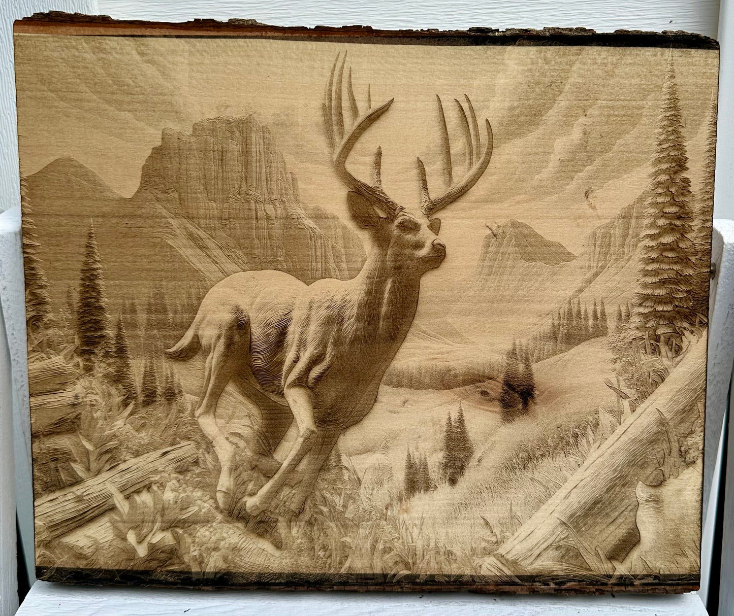 Deer Running in Wooded Canyon Live Edge Rectangular Plaque