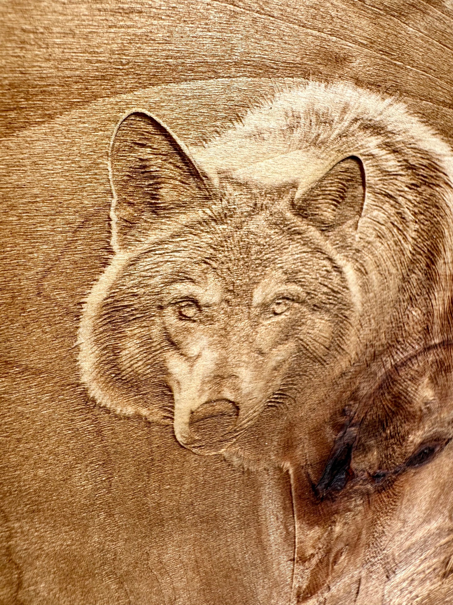Wolf Stare Live Edge Rectangular Plaque