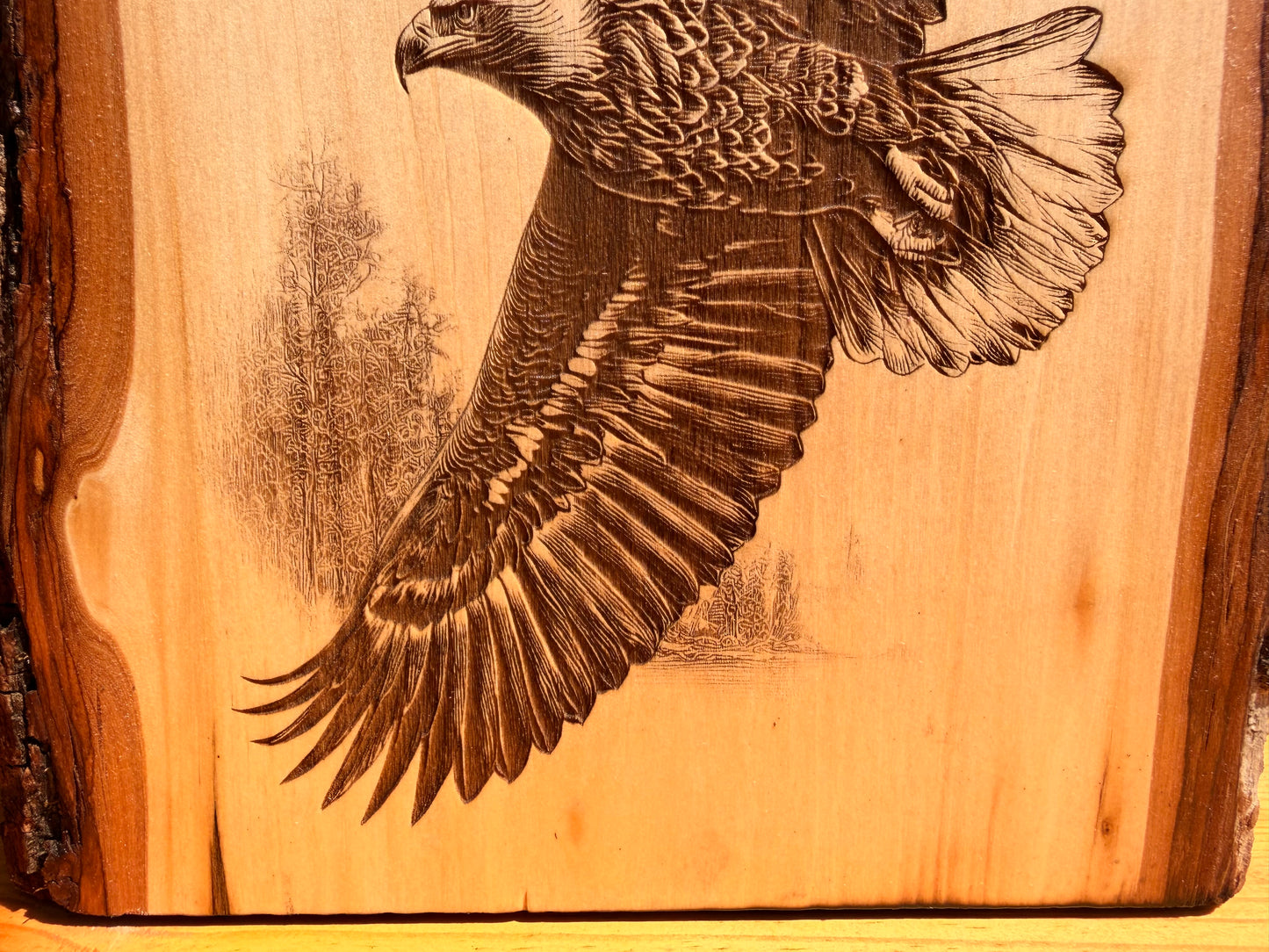 Plaque Live Edge Rectangular - Pair of Soaring Eagles