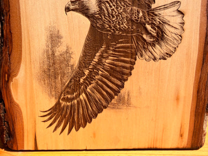 Plaque Live Edge Rectangular - Pair of Soaring Eagles