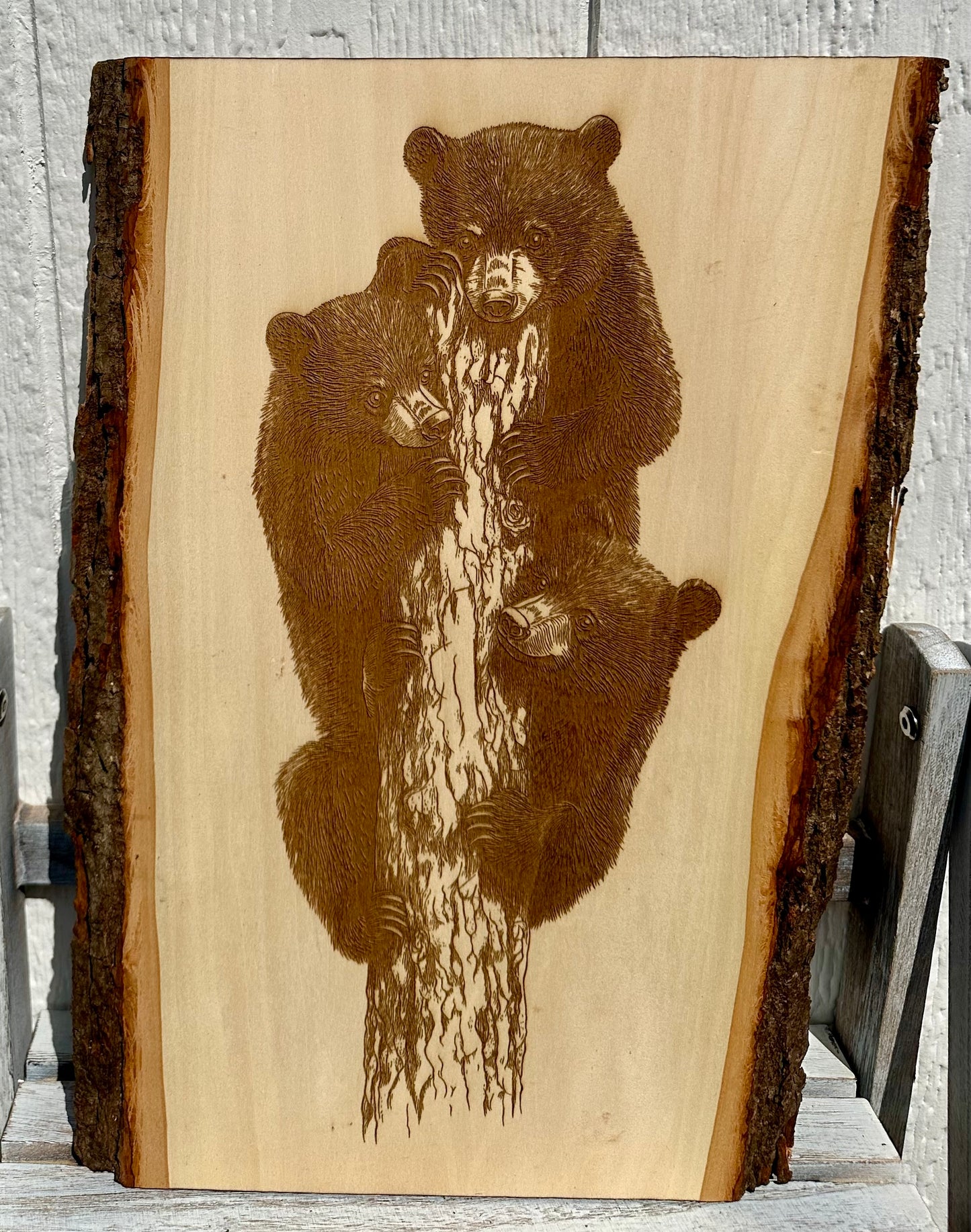 Three Bears in Tree Live Edge Rectangular Plaque