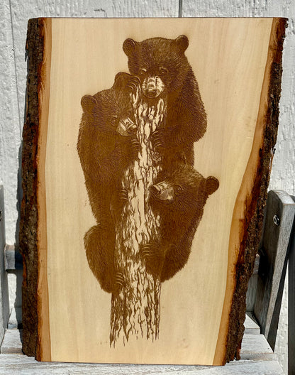 Three Bears in Tree Live Edge Rectangular Plaque