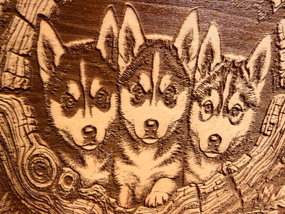 Plaque Live Edge Rectangular - Three Husky Puppies