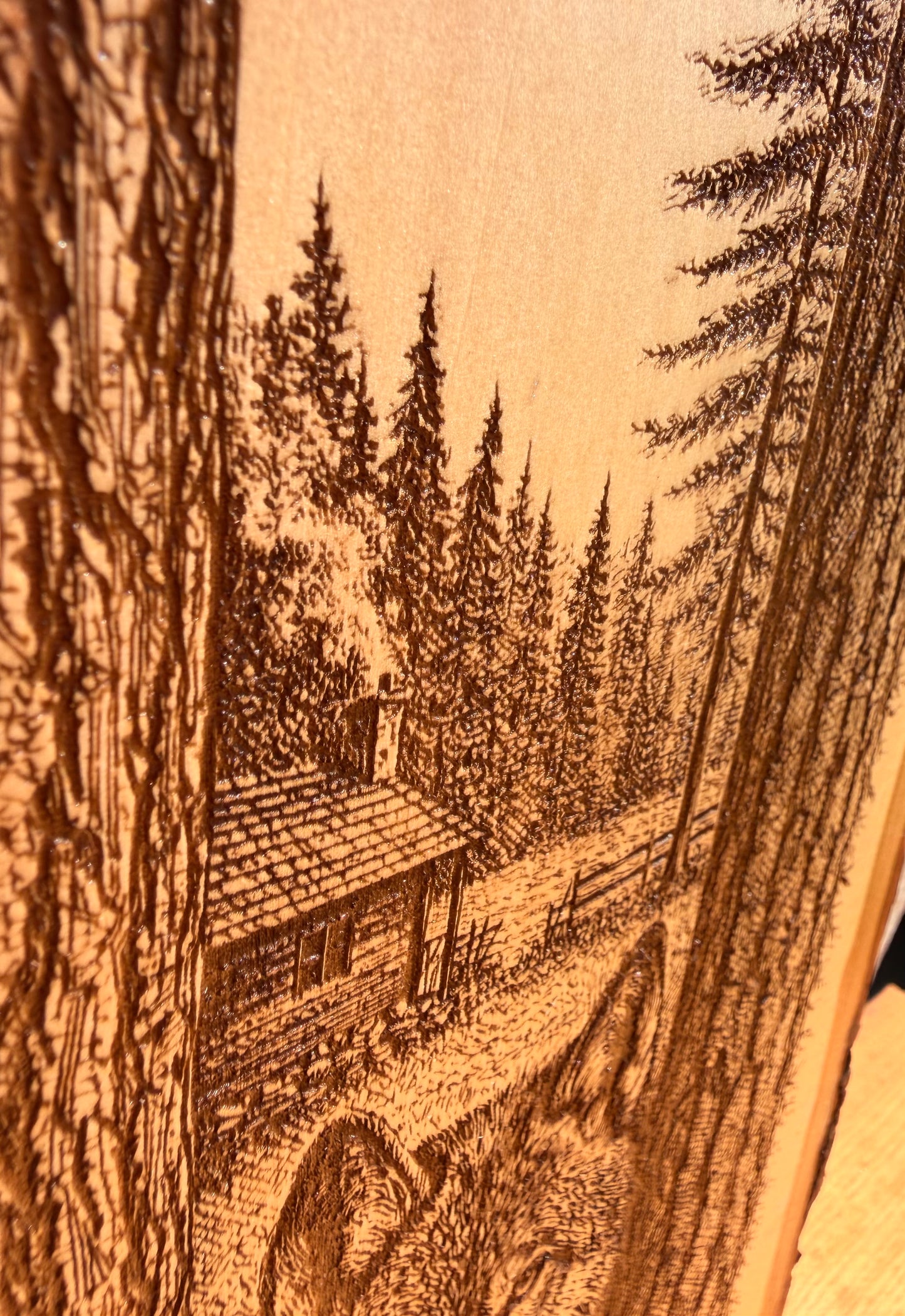 Plaque Live Edge Rectangular - Wolf in the Trees