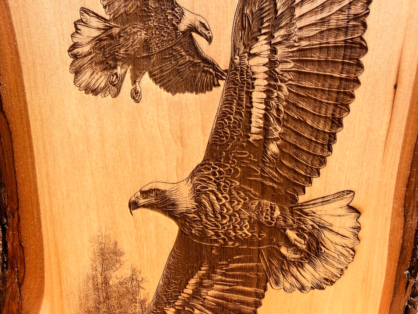 Plaque Live Edge Rectangular - Pair of Soaring Eagles