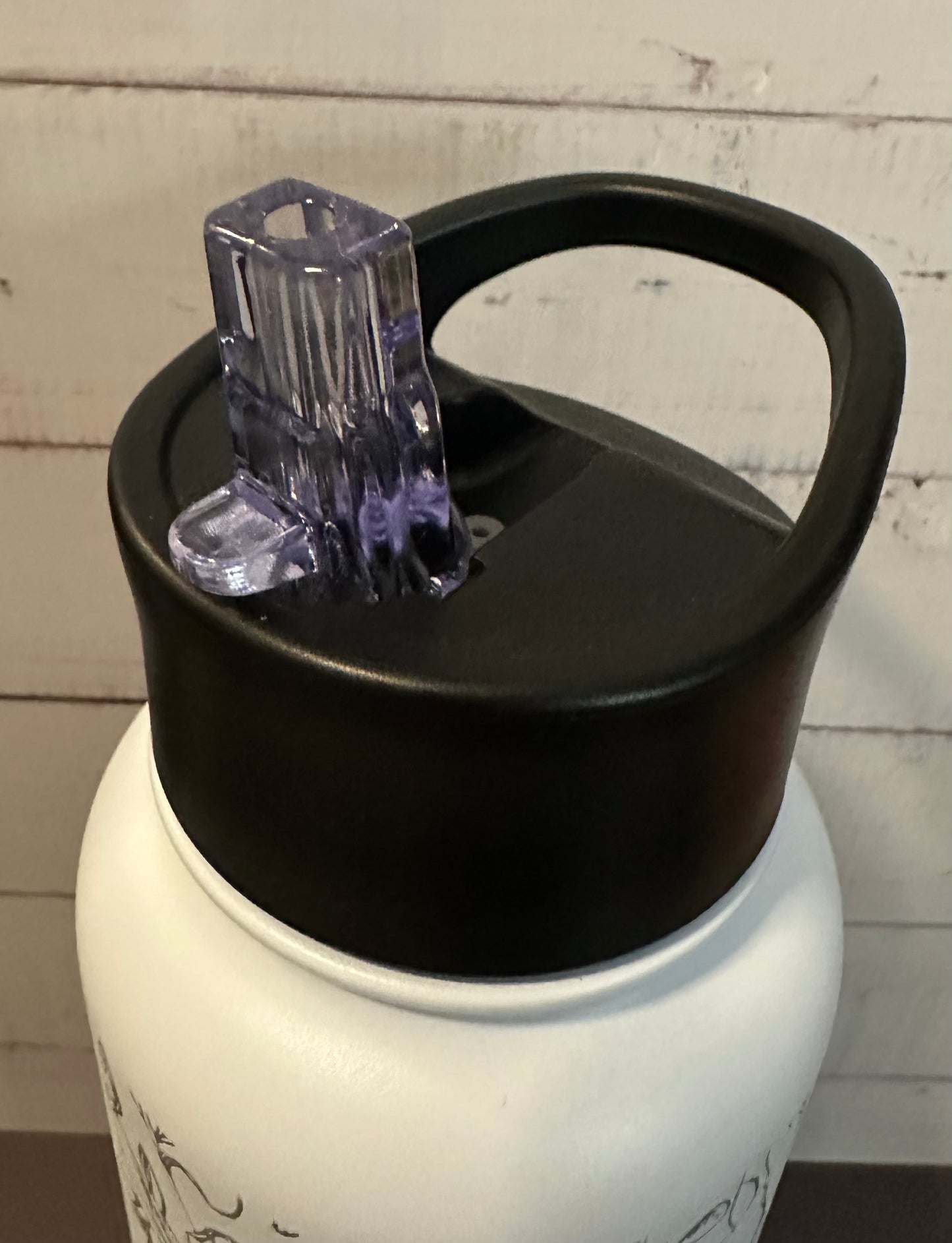 40oz. Insulated Water Bottle with Collapsible Straw Lid - White, Dragonfly