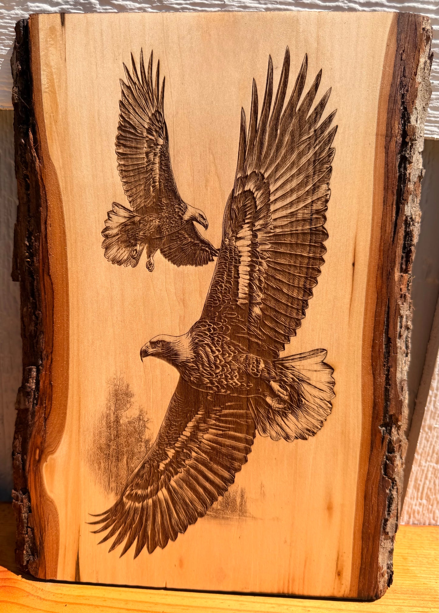 Plaque Live Edge Rectangular - Pair of Soaring Eagles