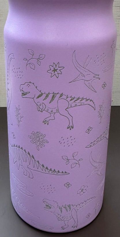 16oz. Insulated Water Bottle with Straw Lid and Built in Lid Handle - Purple with Dinosaurs
