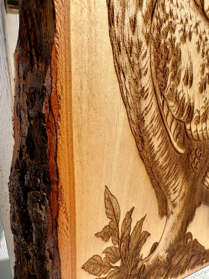 Perched Owl Live Edge Rectangular Plaque