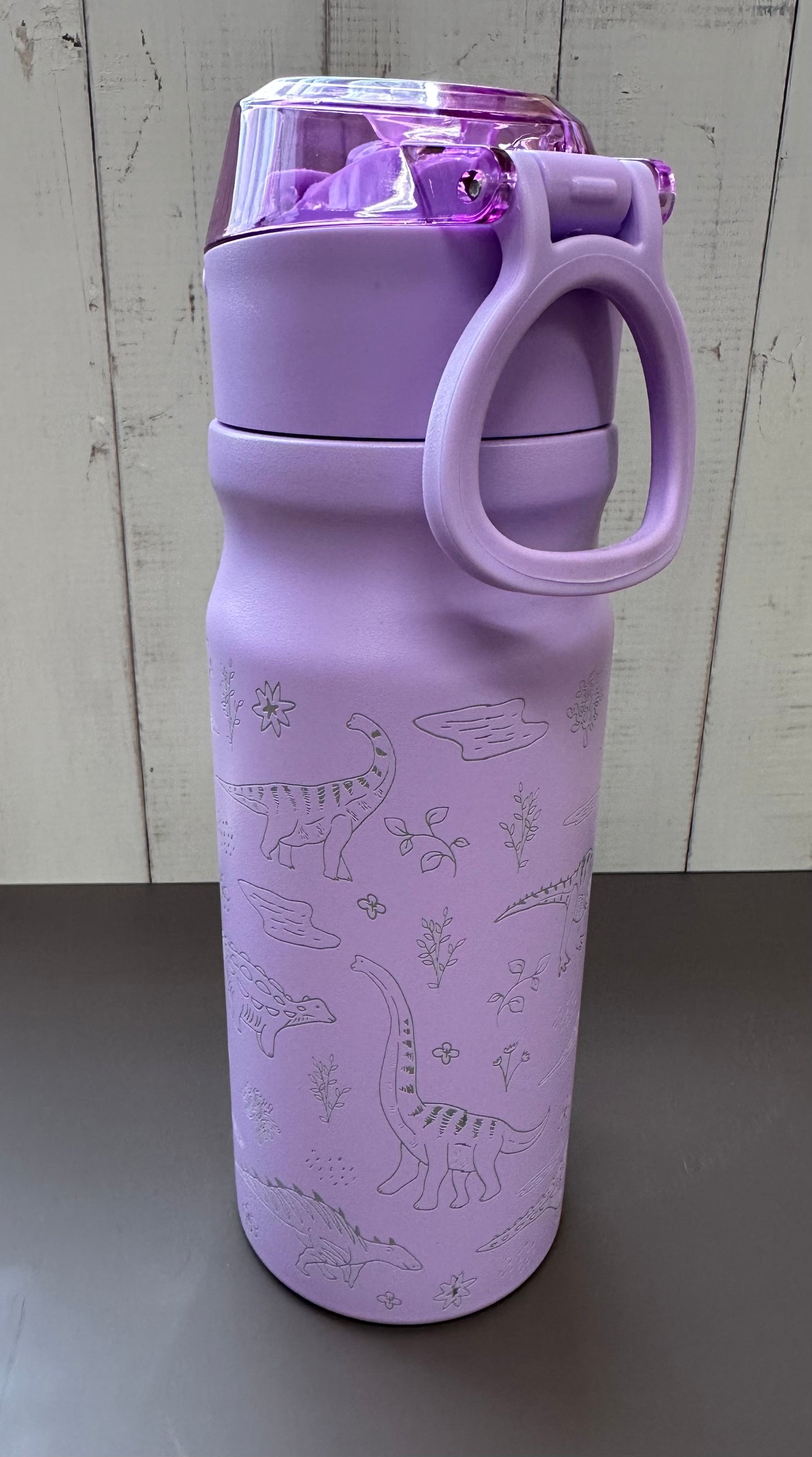 16oz. Insulated Water Bottle with Straw Lid and Built in Lid Handle - Purple with Dinosaurs