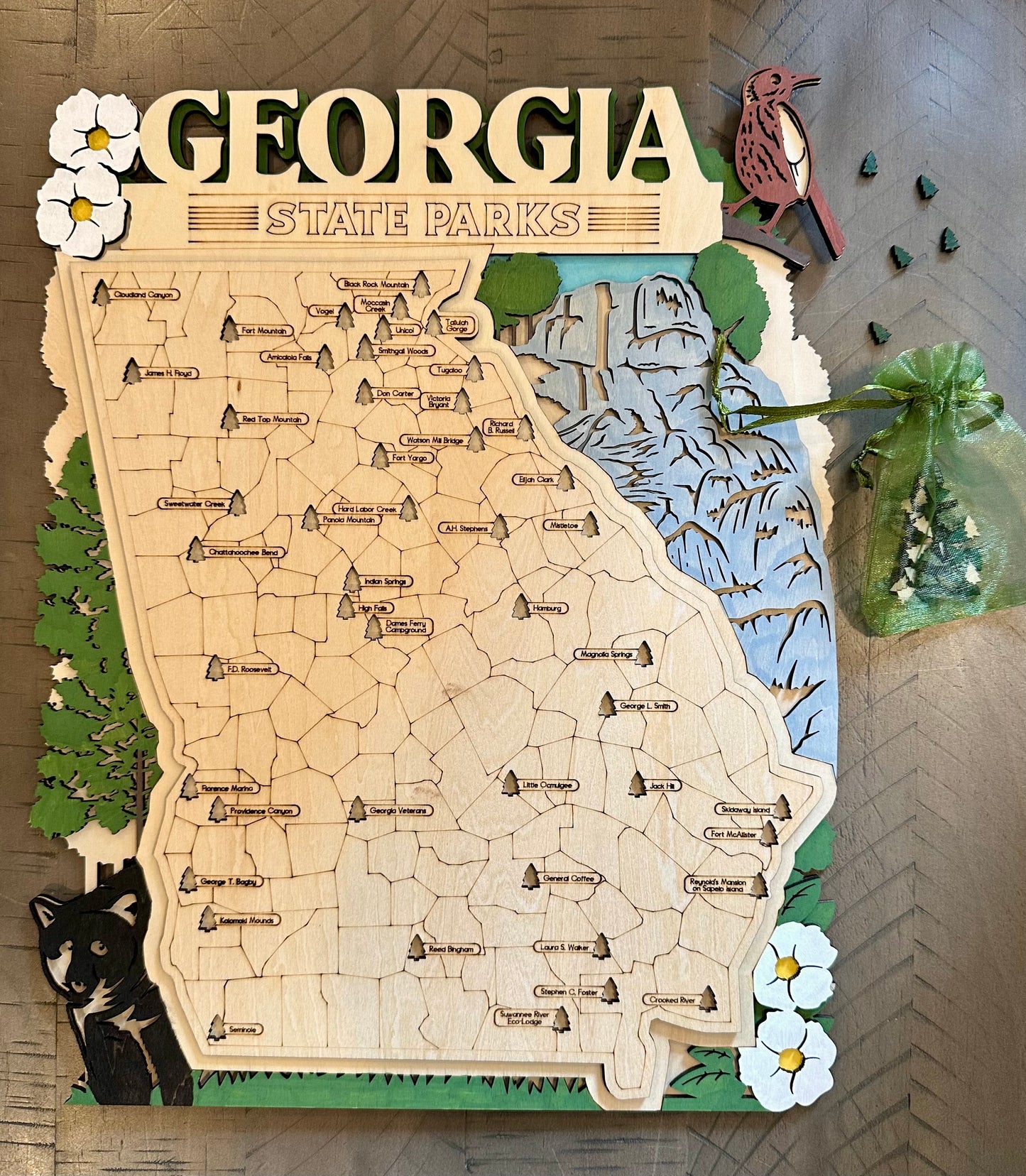 State Park Visit Tracking Map - Georgia