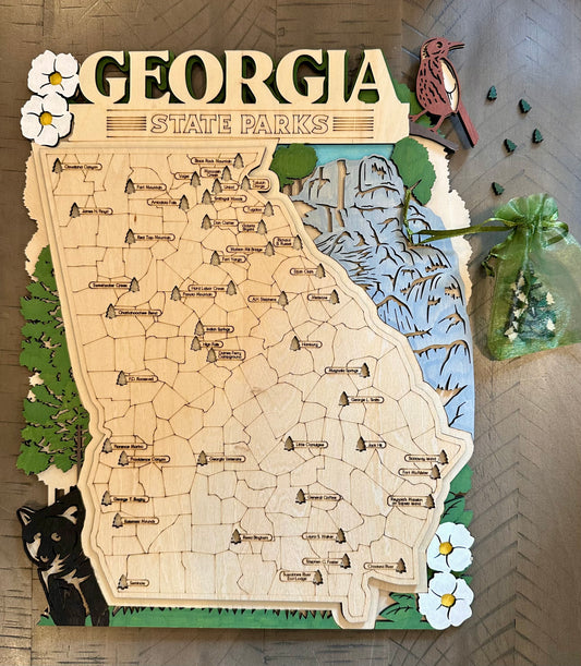 State Park Visit Tracking Map - Georgia