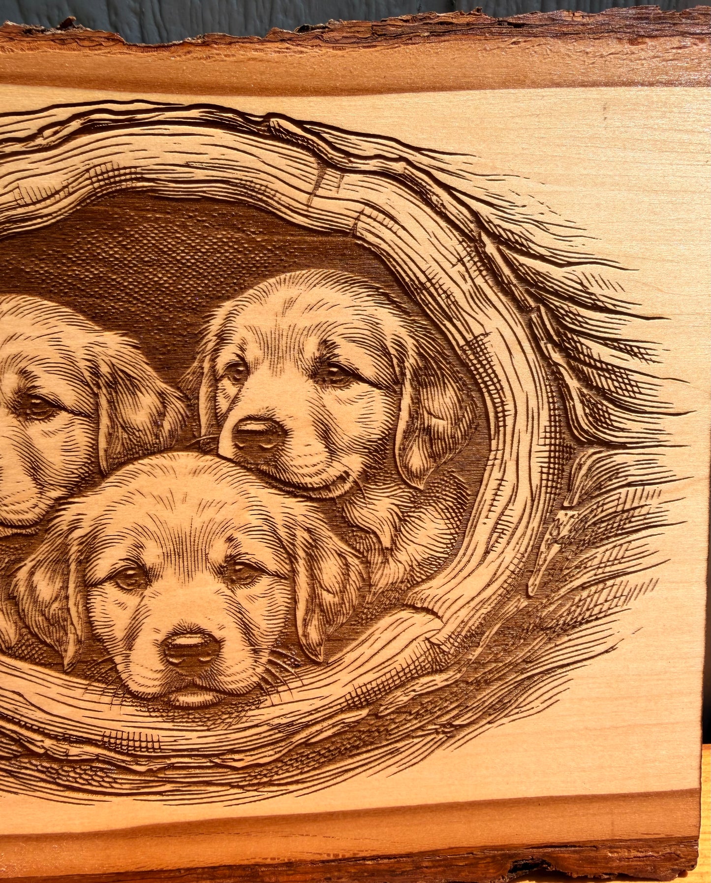 Plaque Live Edge Rectangular - Three Retriever Puppies