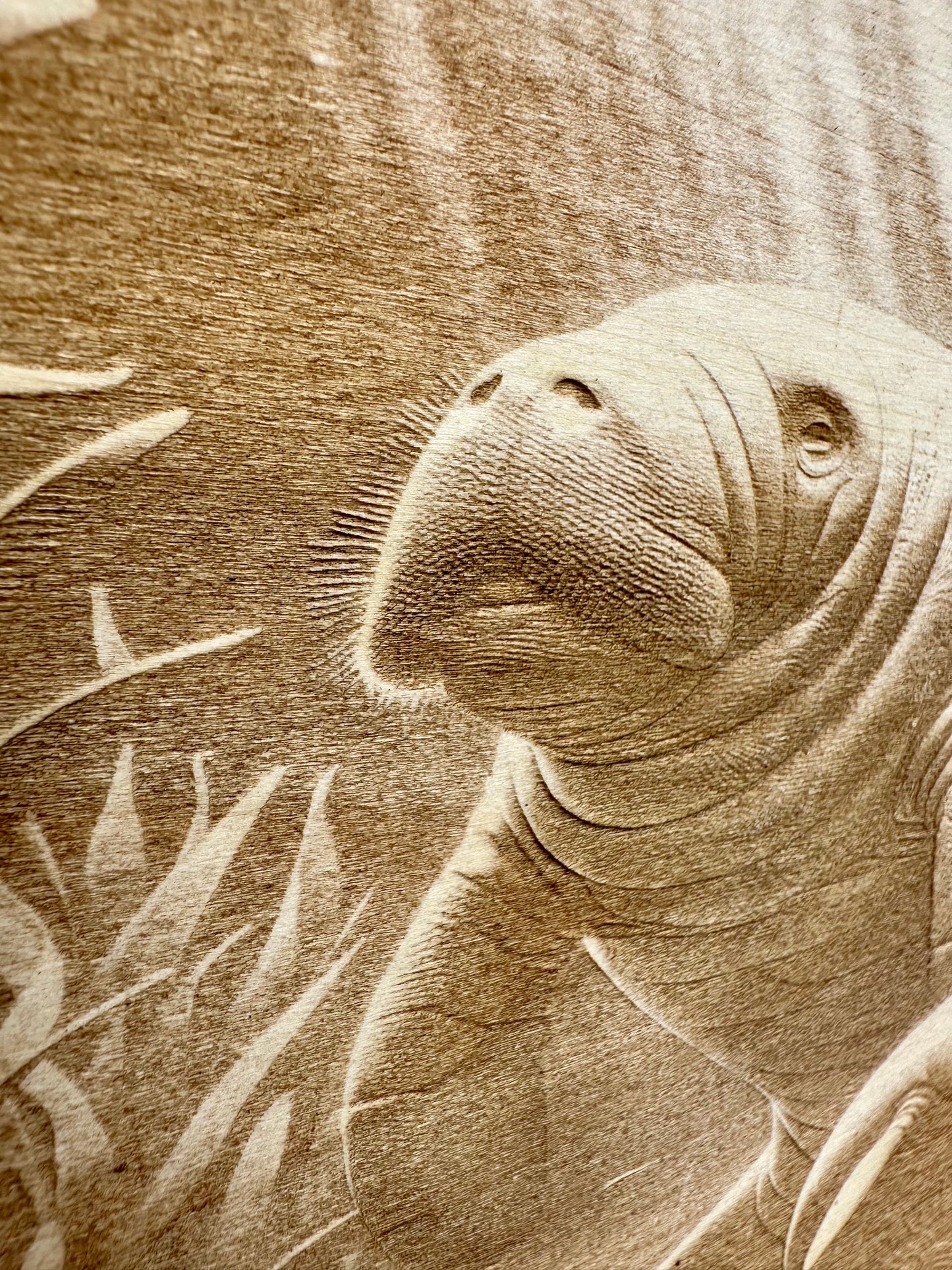 Manatee Family Live Edge Rectangular Plaque