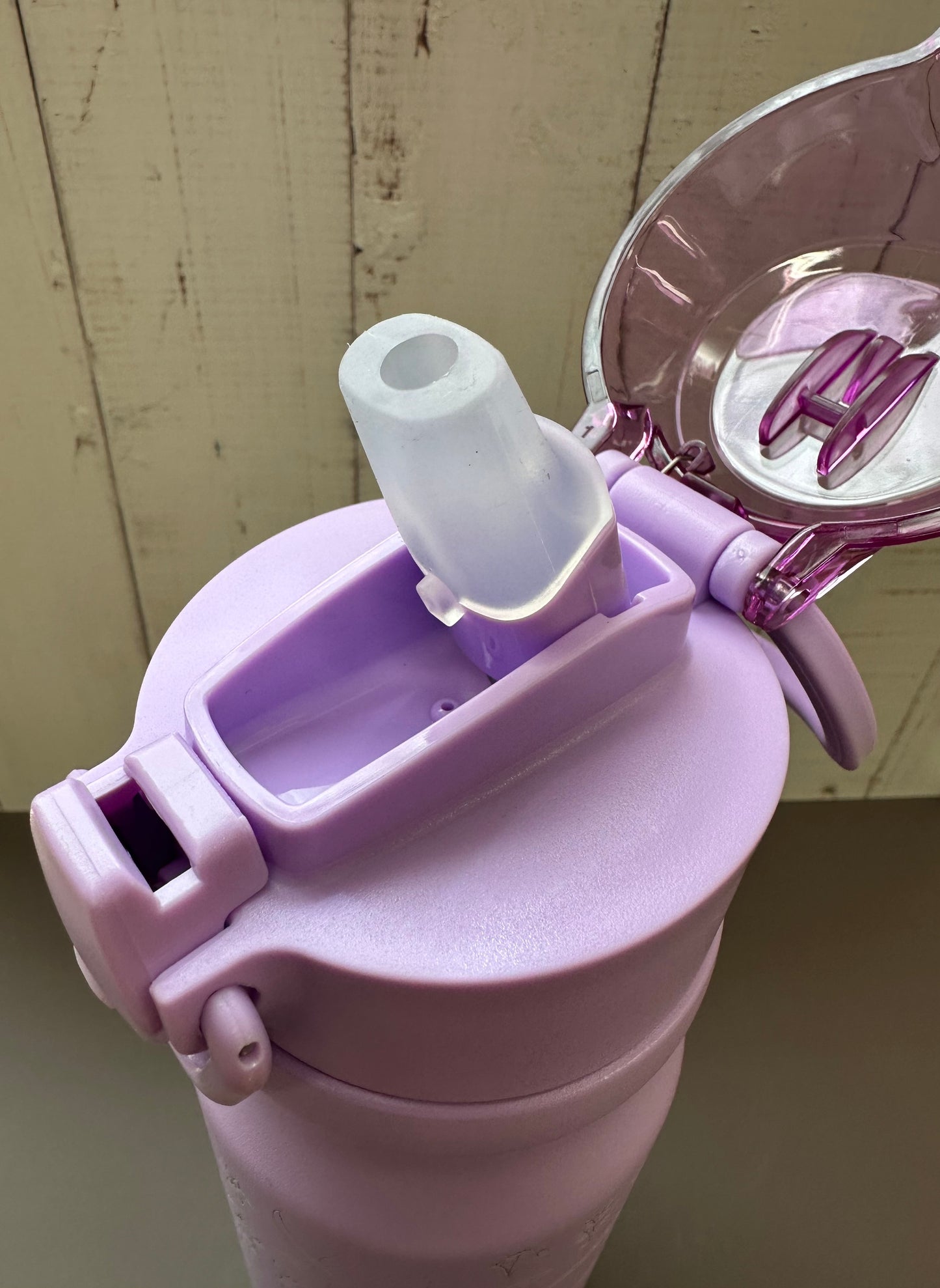 16oz. Insulated Water Bottle with Straw Lid and Built in Lid Handle - Purple with Dinosaurs