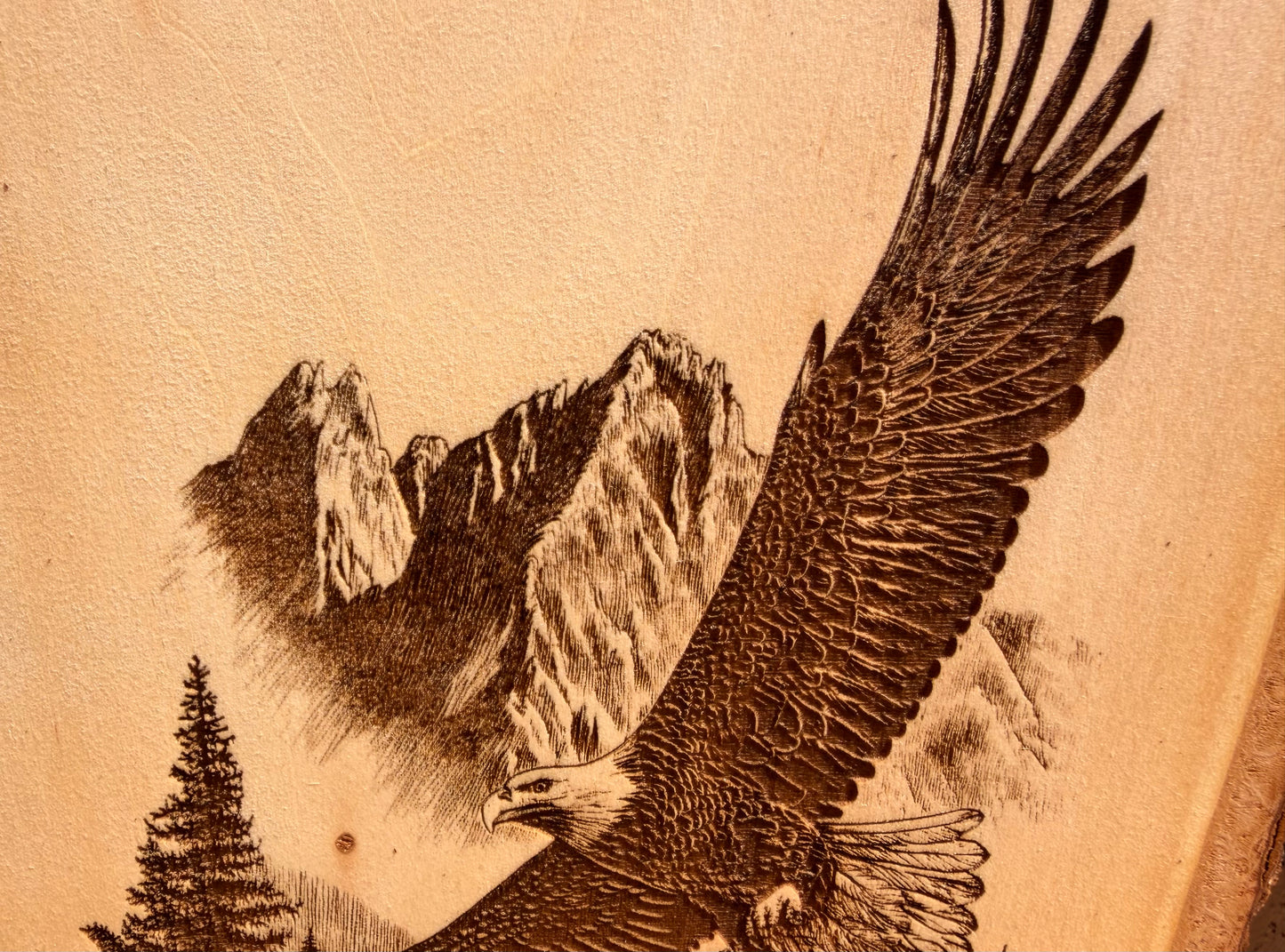 Plaque Live Edge Rectangular - Eagle Soaring in the Mountains