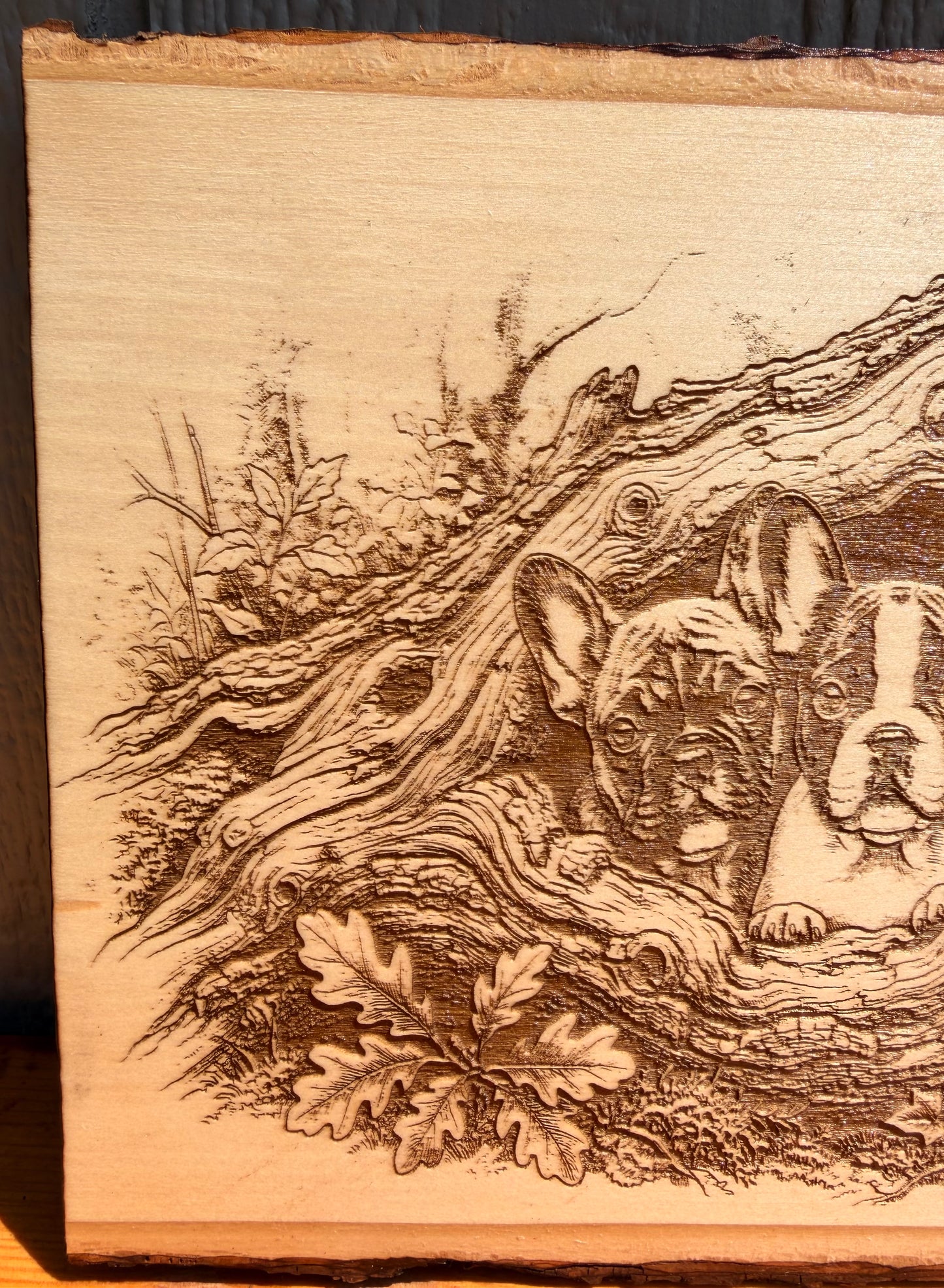 Plaque Live Edge Rectangular - Three French Bulldog Puppies