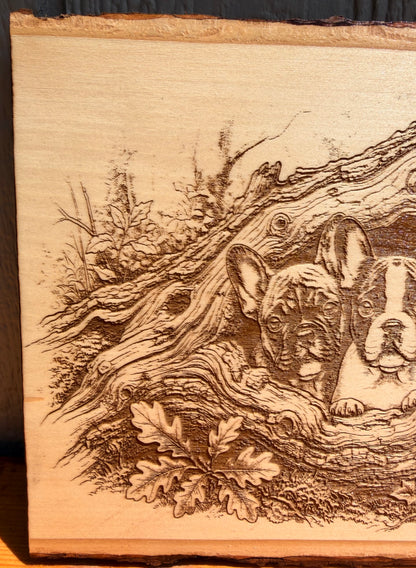 Plaque Live Edge Rectangular - Three French Bulldog Puppies