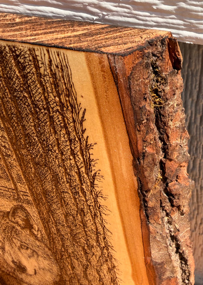 Plaque Live Edge Rectangular - Wolf in the Trees