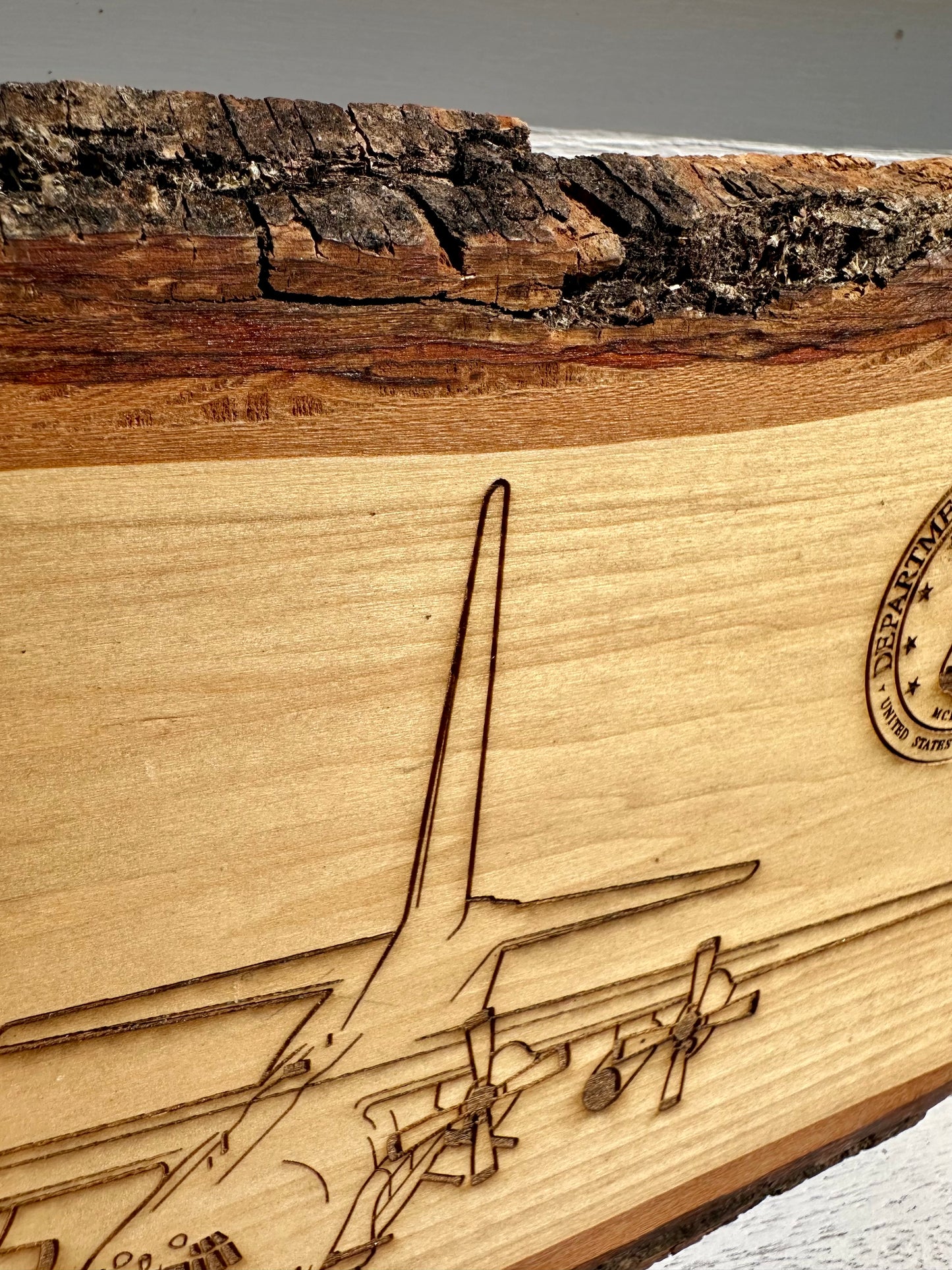 Military C130 with Air Force Seal Live Edge Rectangular Plaque