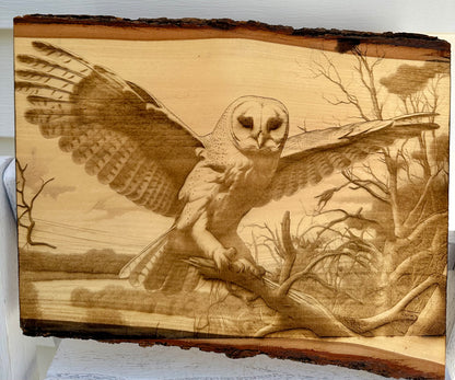 Owl with Wings Spread Live Edge Rectangular Plaque