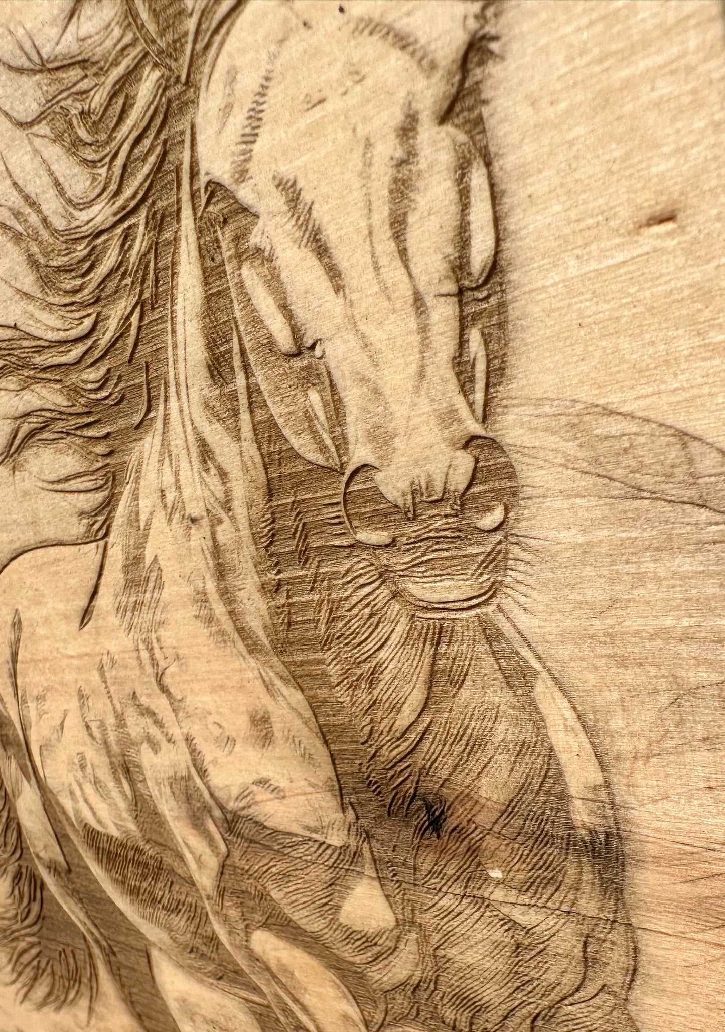 Galloping Horse Live Edge Rectangular Plaque