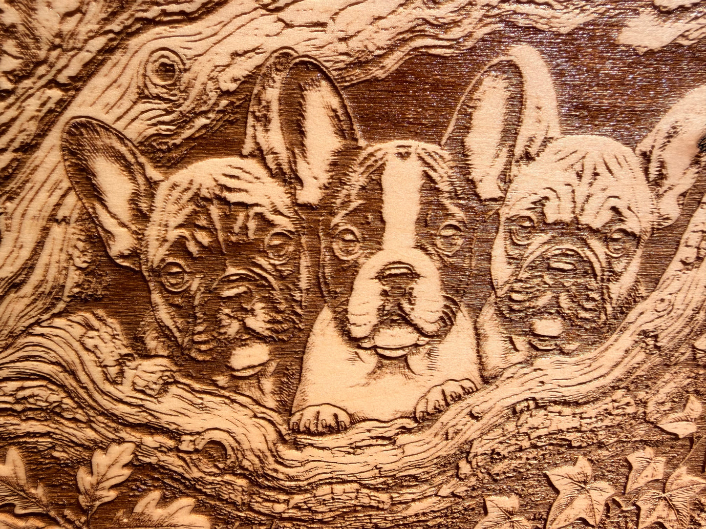 Plaque Live Edge Rectangular - Three French Bulldog Puppies