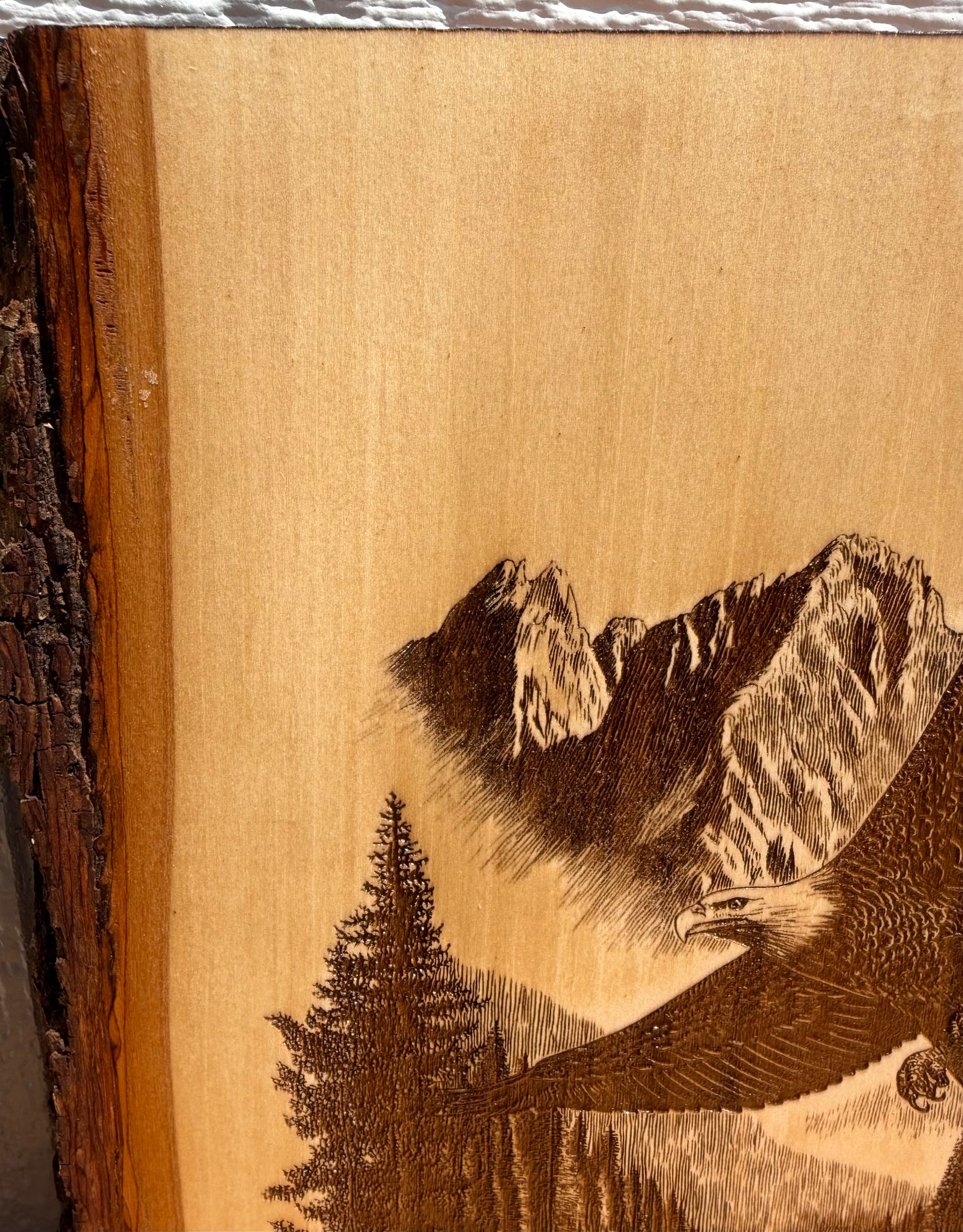 Plaque Live Edge Rectangular - Soaring Eagle